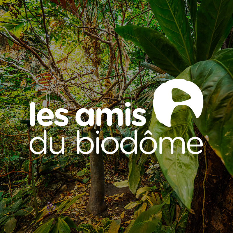 À propos des Amis du Biodôme