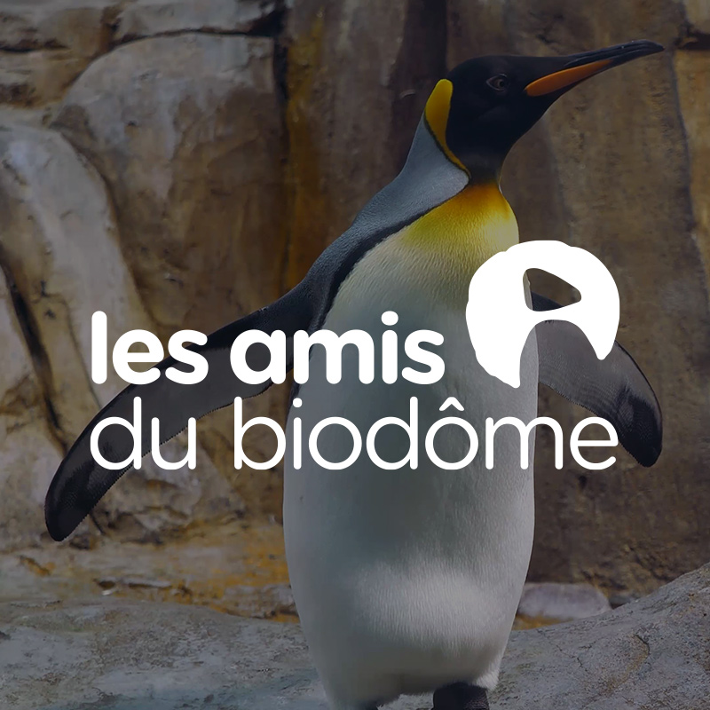 Une activité proposée par Les Amis du Biodôme