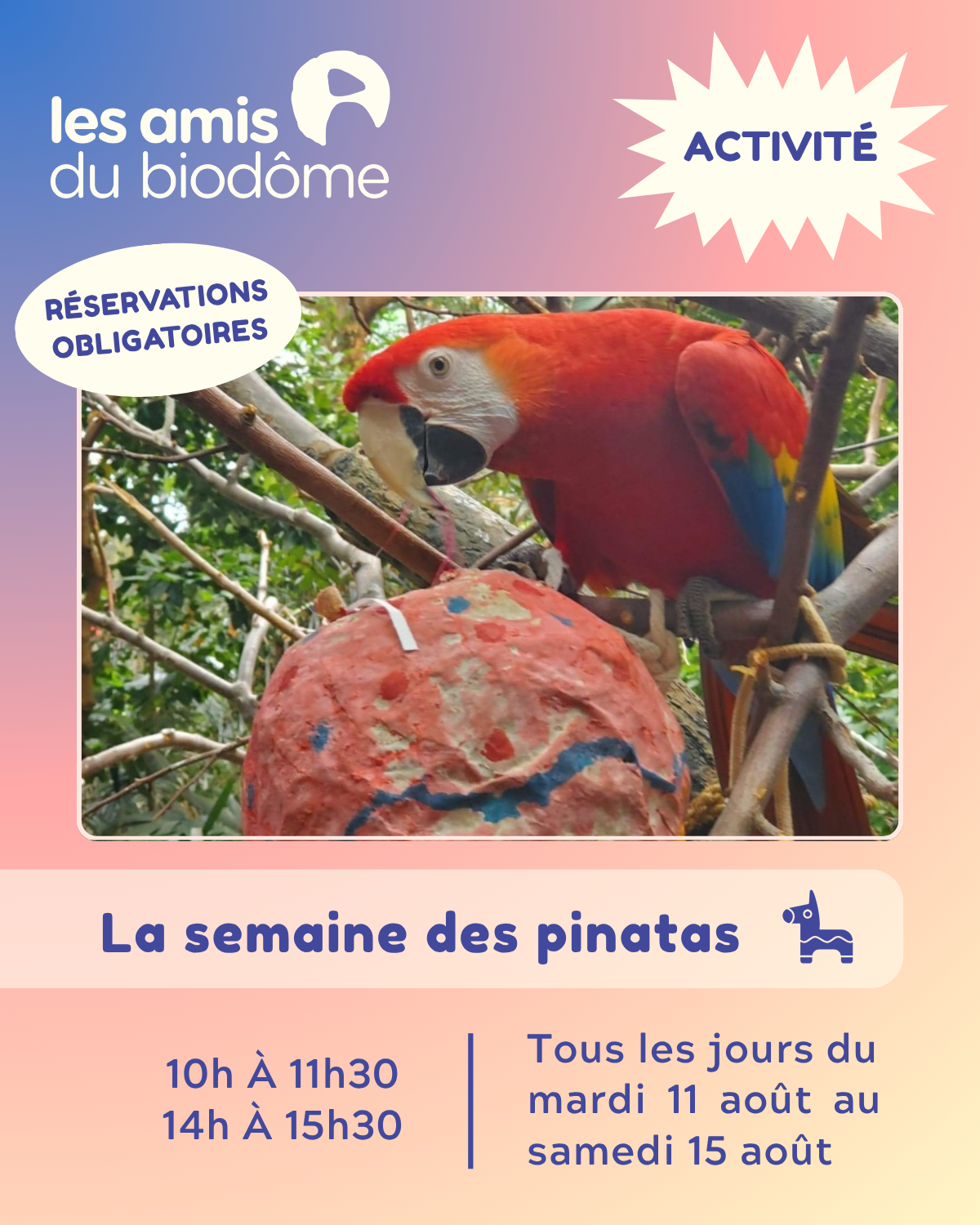 13 - activités pinatas