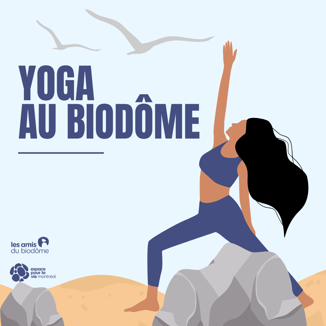 Yoga amis bio